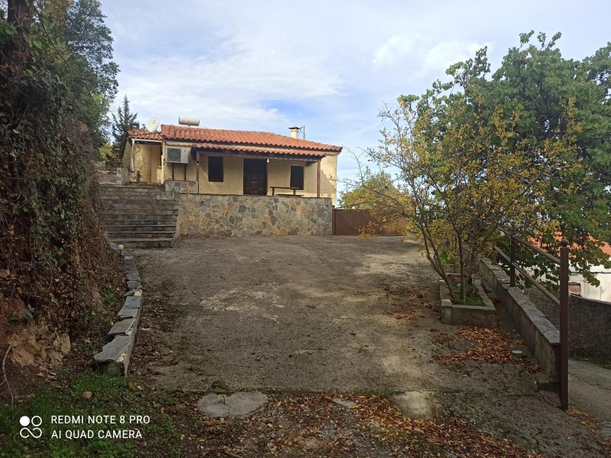 Forestrock Studio For Sale Too Sparta Ngoại thất bức ảnh